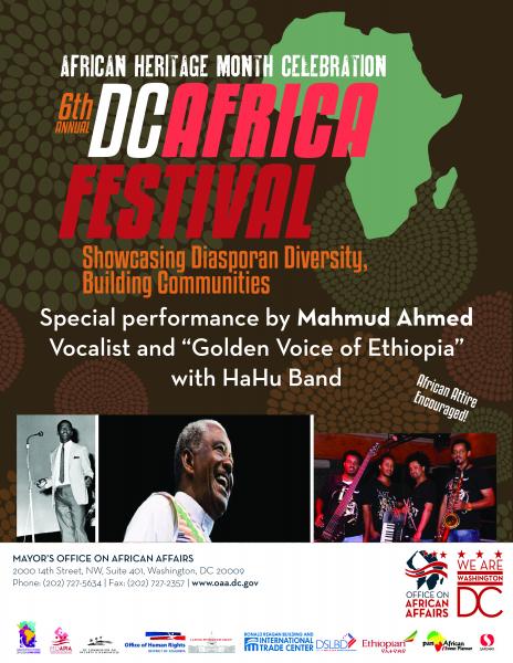 6th Annual DC African Festival Flyer
